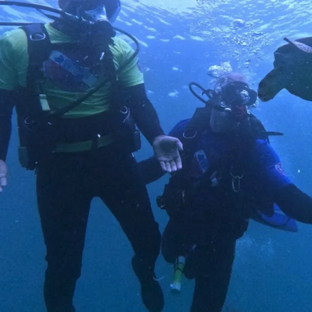 Veterans scuba diving with a sea turtle